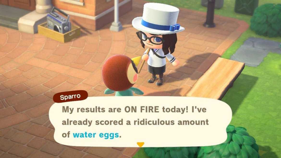 Cadeau d'œuf d'eau Animal Crossing