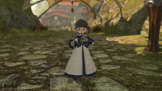 1694793099 375 Quel role devriez vous choisir dans Final Fantasy XIV – Guide