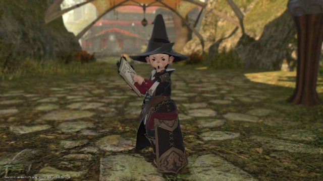 1694793099 464 Quel role devriez vous choisir dans Final Fantasy XIV – Guide