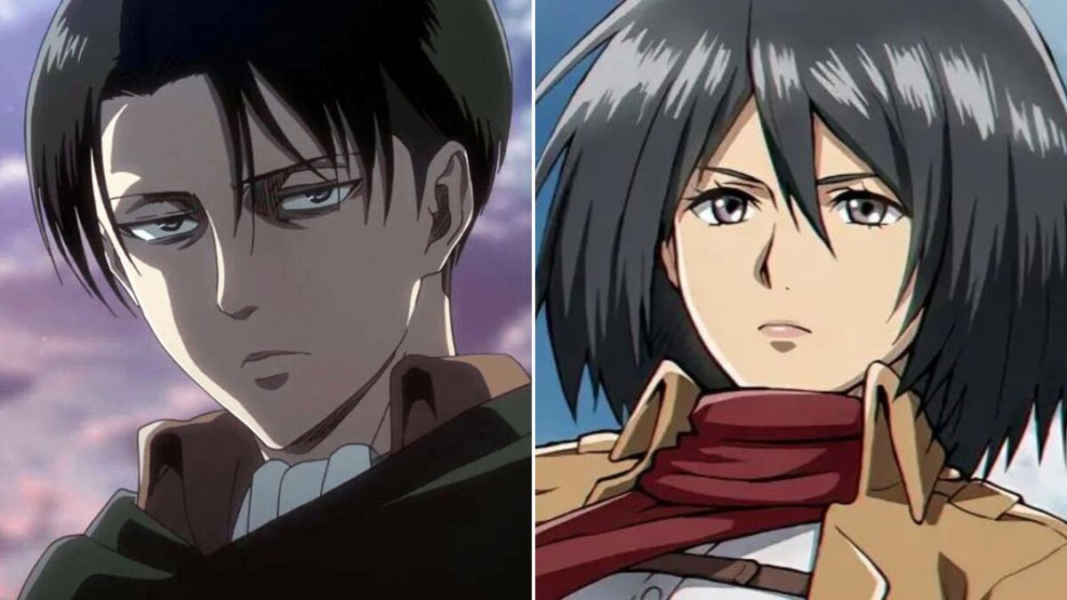 Levi Mikasa