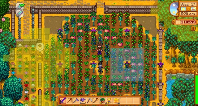 Exemple d’affichage de la portée dans Stardew Valley