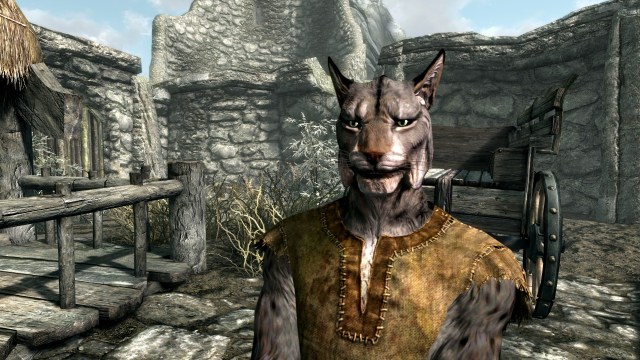 1705521561 859 Elder Scrolls V Skyrim – Comment choisir la meilleure race