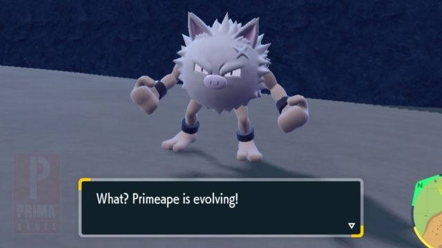 Quand Primeape apprend il Rage Fist dans Pokemon Scarlet et Violet