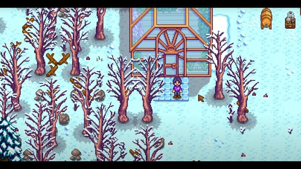 Hiver dans la vallée de Stardew