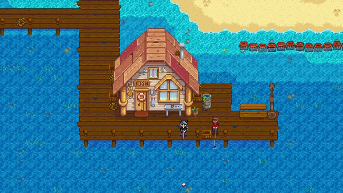 Plage de Stardew Valley