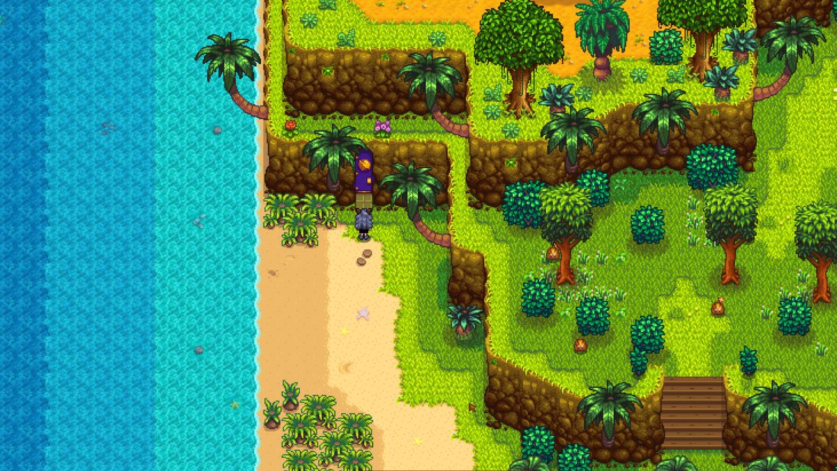 Chambre Stardew Valley Walnut