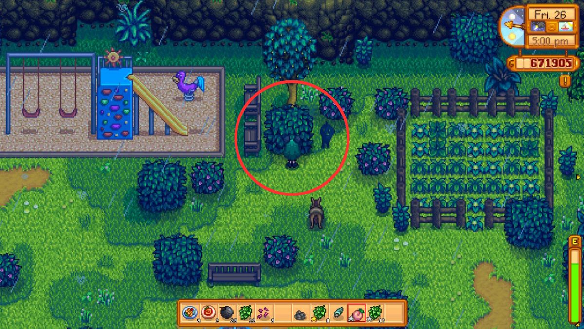 Emplacement de la figure mystérieuse de Stardew Valley