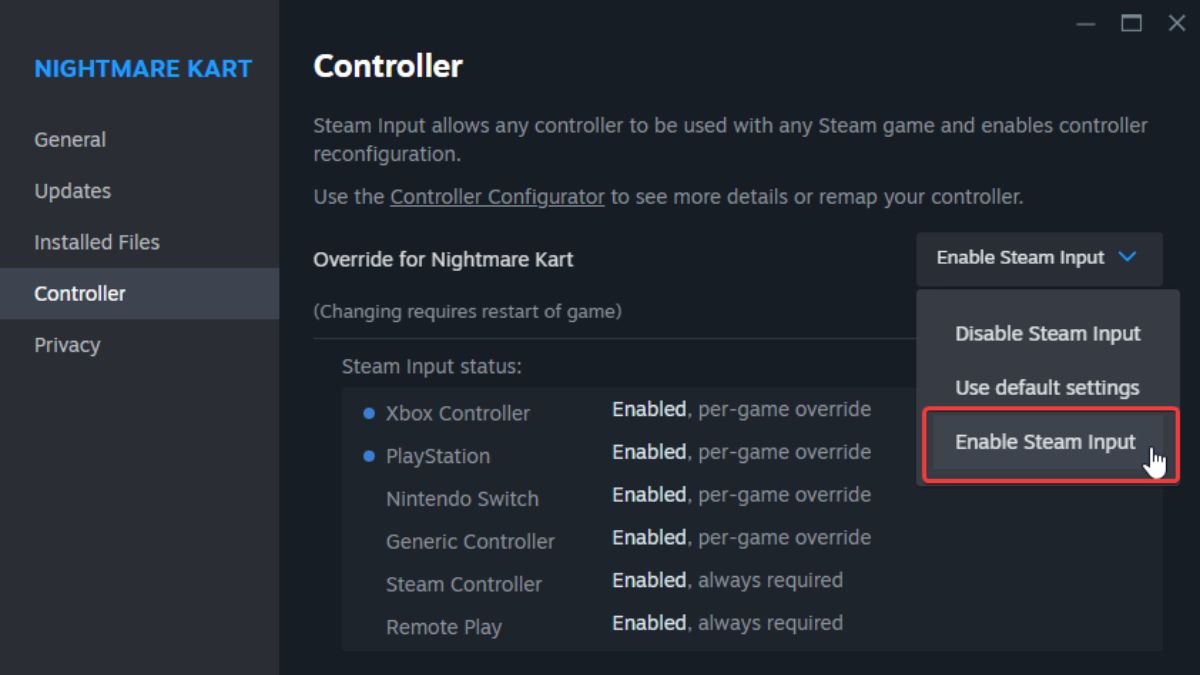 Activer Steam Input Nightmare Kart