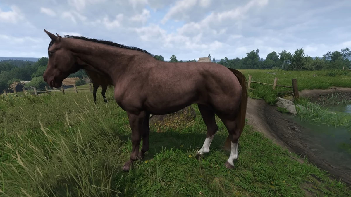 Le hareng dans Kingdom Come Deliverance 2