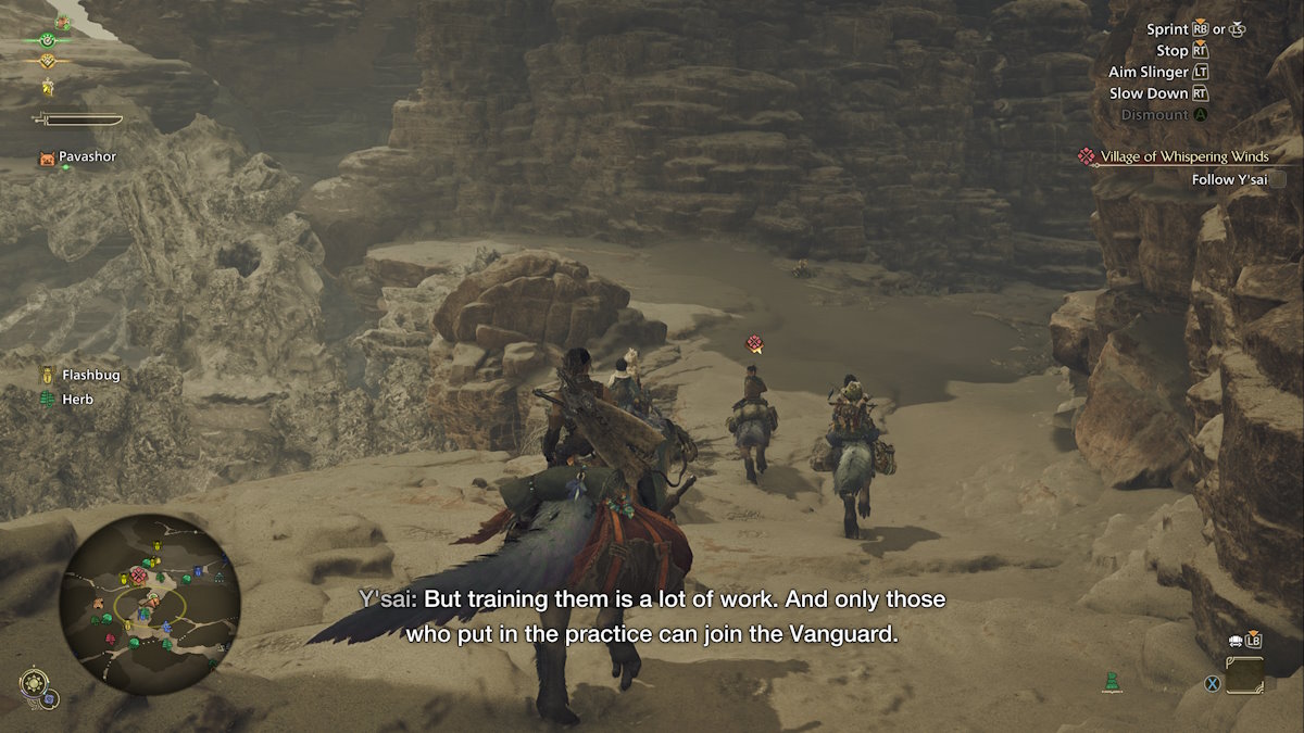 Décorez Seikret dans Monster Hunter Wilds